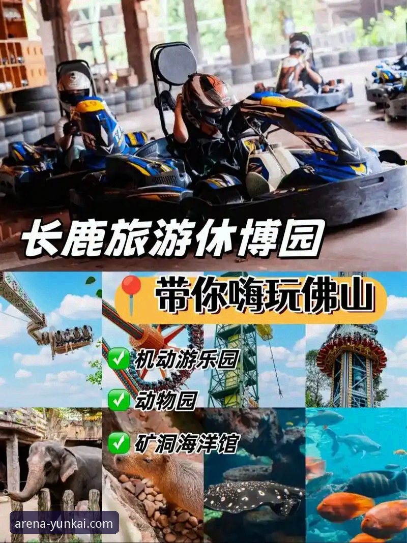 云开体育平台引领运动新境界详解